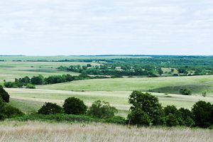Tallgrass Prairie