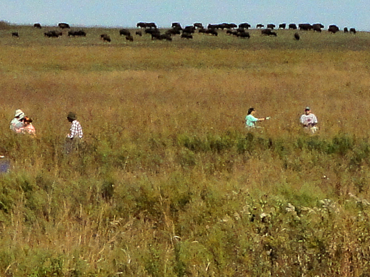 Docent Seed Collection Workday