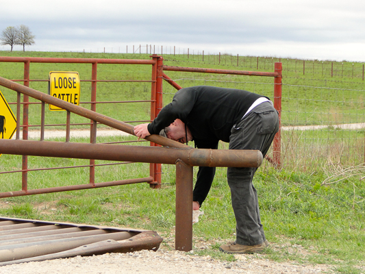 2016 Docent Paint Day 2016